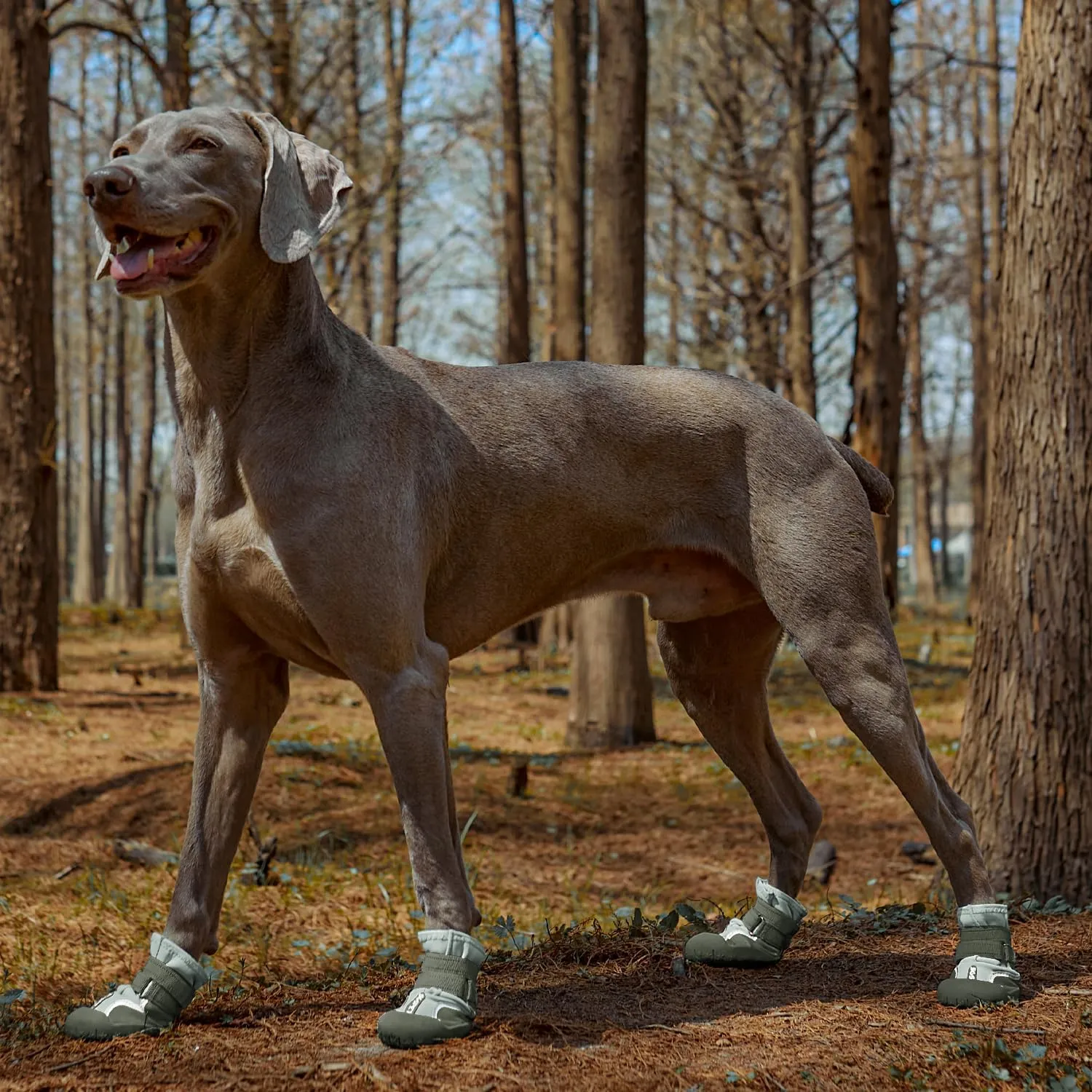 Dog Shoes, Waterproof Dog Boots & Paw Protectors with Anti-Slip Sole, 4pcs/Set Pet Dog Booties, Reflective Dog Shoes for Small Medium Large, Winter Snowy Summer Hot Pavement (Green, 8# (2XL))