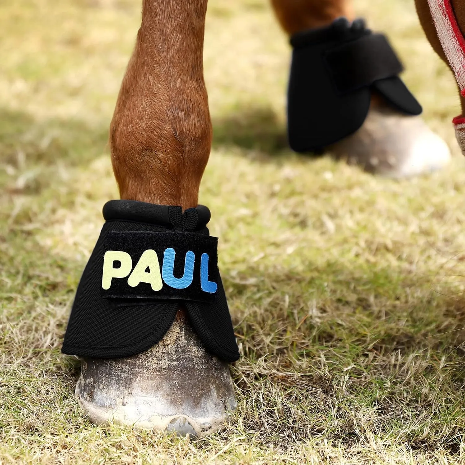 Overrach Bell Boots for Horses | Superb Hoof Protection | Easy Put On Quick Wrap Hook & Loop | Comfortable Durable | Reliable Shock Absorbing 2 Counts (Black, Large)